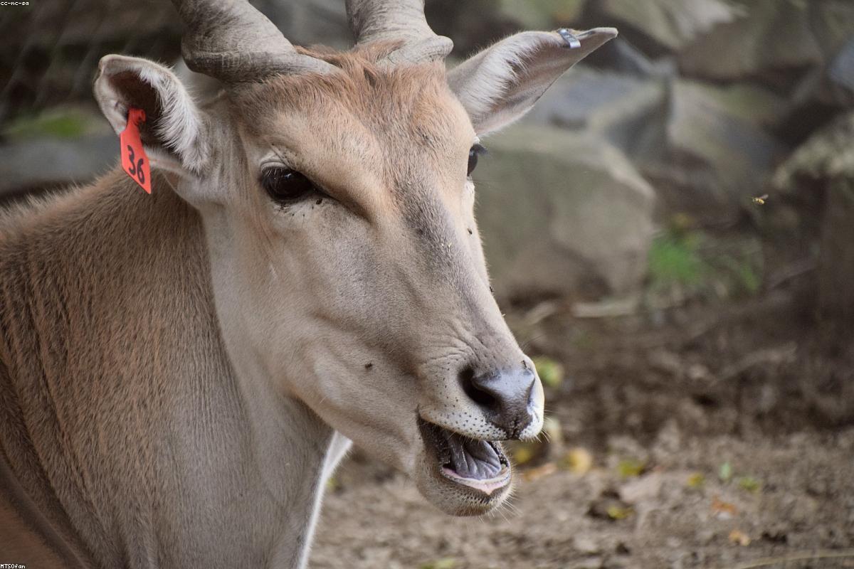 Asking for What You Want Without Awkwardness