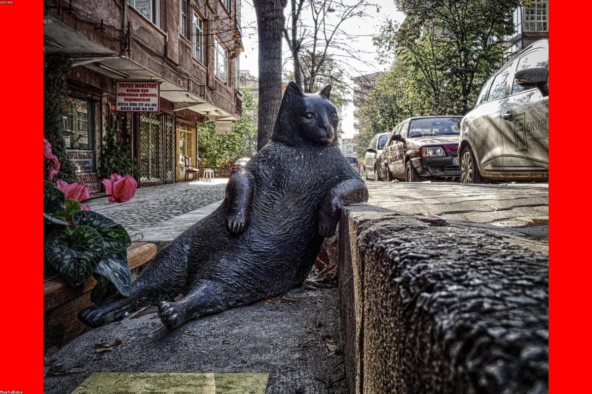 Nutrition and Sexual Performance